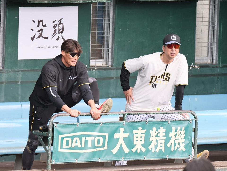 ベンチで話す糸井臨時コーチと藤川監督（撮影・田中太一）