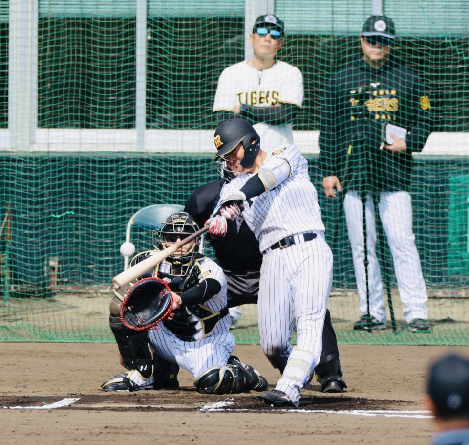 シート打撃で谷端は門別から左前打を放つ（撮影・山口登）