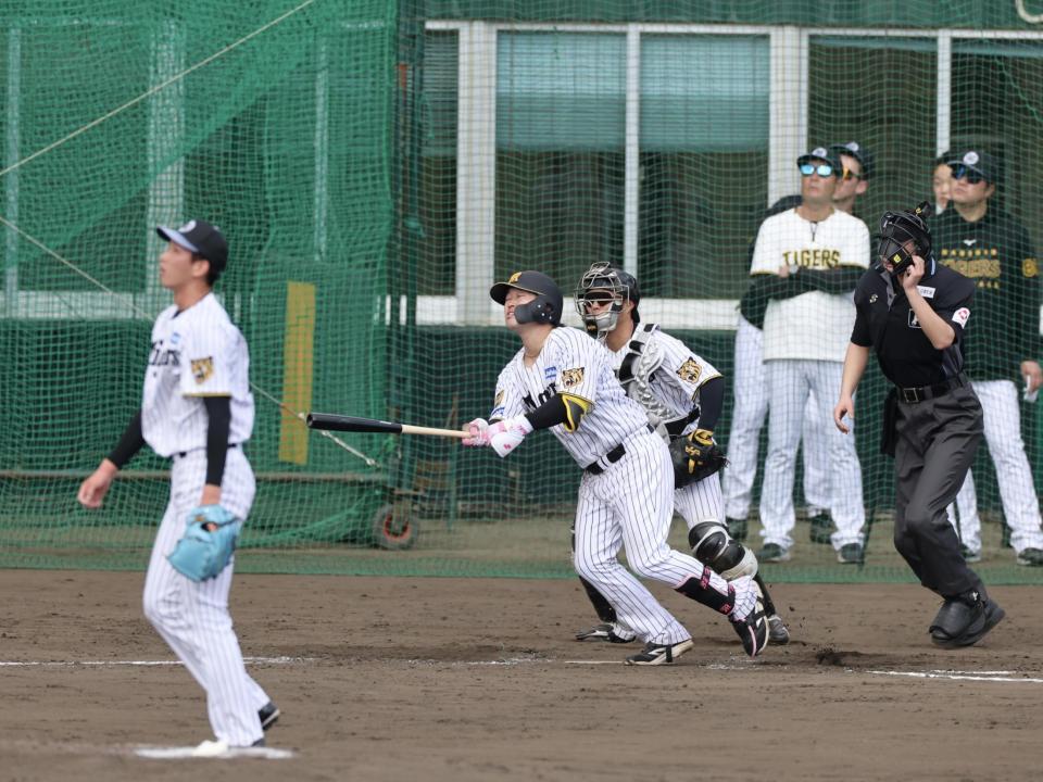シート打撃で右越えに本塁打を放つ浜田（撮影・山口登）