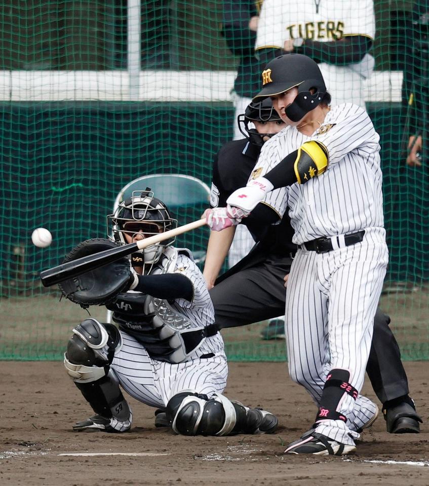 シート打撃で本塁打を放つ浜田