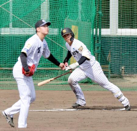 　シート打撃で左前打を放つ谷端（投手・門別）＝撮影・山口登