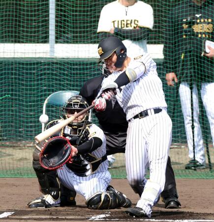 シート打撃で左前打を放つ谷端（捕手・伏見）＝撮影・山口登