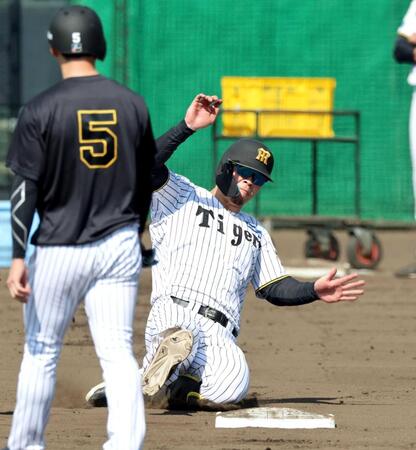 　走塁練習する佐藤輝（撮影・山口登）