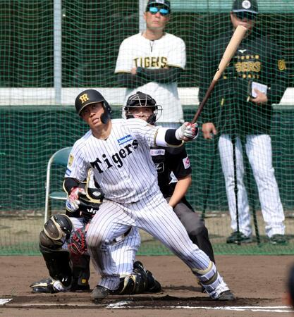 デイリースポーツ 主要ニュース