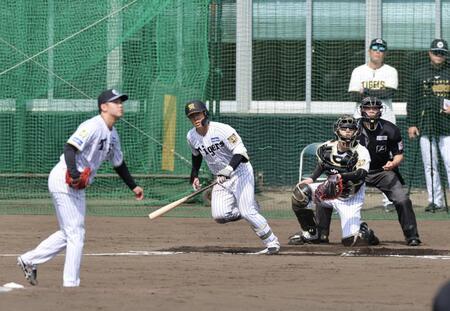 シート打撃で谷端は門別から左前打を放つ＝４日