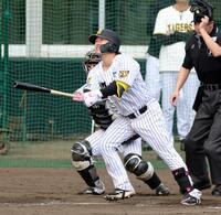 シート打撃で右越えに本塁打を放つ阪神・浜田太貴＝宜野座（撮影・山口登）