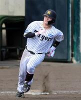 シート打撃で右中間に三塁打を放つ浜田（撮影・山口登）