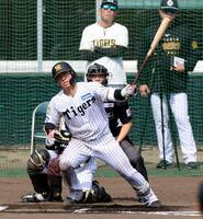 シート打撃で左前打を放つ谷端（捕手・伏見）＝撮影・山口登