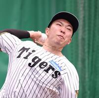 ブルペンで力強く投げ込む石井（撮影・西田忠信）