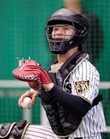 ブルペンで石井の投球を受ける坂本（撮影・西田忠信）