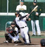 シート打撃で左前打を放つ谷端（捕手・伏見）＝４日