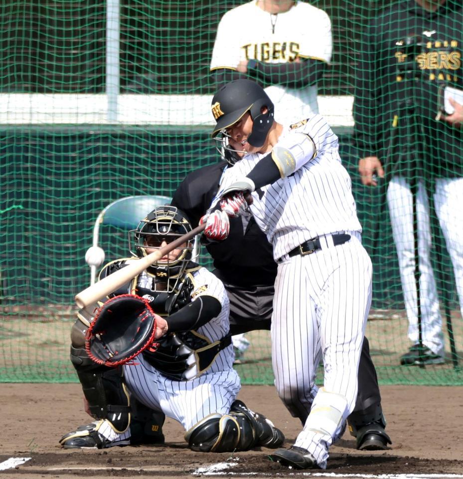 シート打撃で左前打を放つ谷端（捕手・伏見）＝撮影・山口登