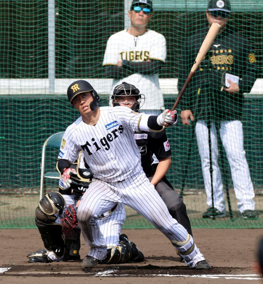 ４日のシート打撃で左前打を放つ谷端