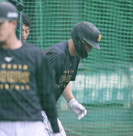 打撃練習で死球を受け、ベンチへ戻る佐藤輝（撮影・田中太一）