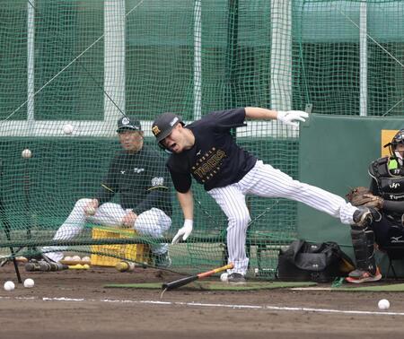 打撃練習で右足に球が当たり、グラウンドに倒れ込む佐藤輝（撮影・山口登）