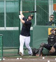 打撃練習を再開した佐藤輝（撮影・山口登）