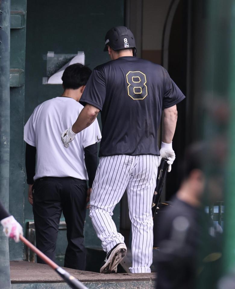 打撃練習で死球を受け、ベンチへ戻る佐藤輝（撮影・田中太一）