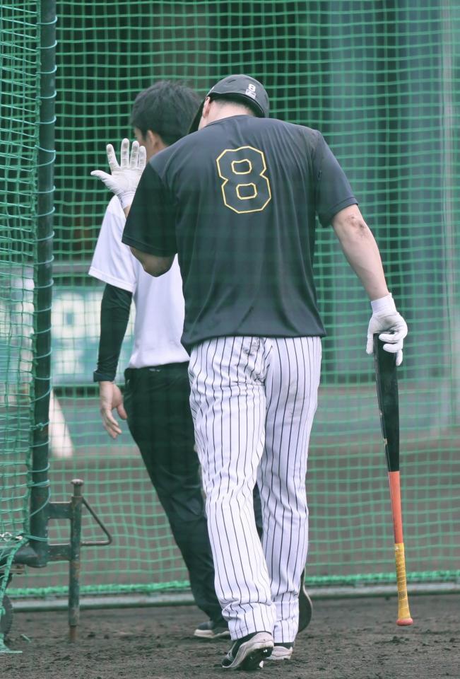 打撃練習で死球を受け、ベンチへ戻る佐藤輝（撮影・田中太一）