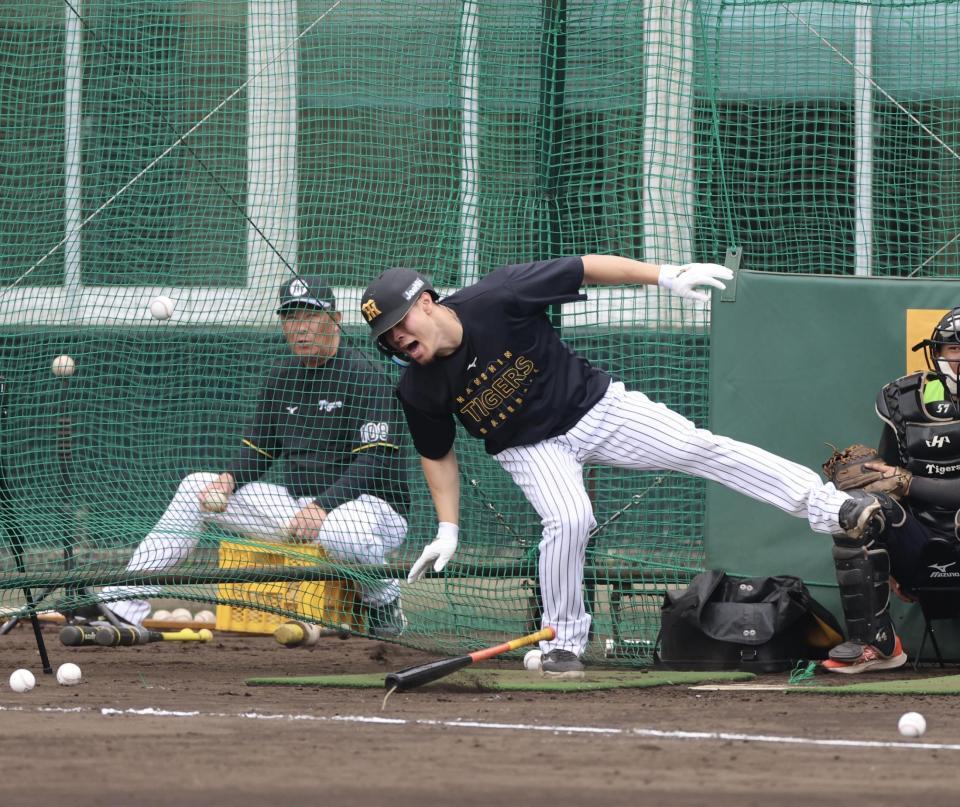 打撃練習で右足に球が当たり、グラウンドに倒れ込む佐藤輝（撮影・山口登）