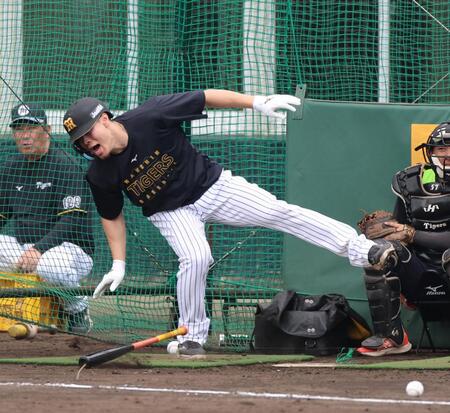 打撃練習で投球を右足に受ける佐藤輝（撮影・山口登）