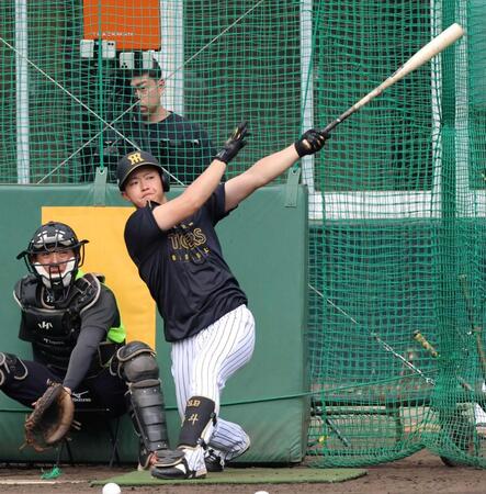 　打撃練習する中川（撮影・山口登）