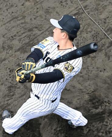阪神ドラ１・立石　負傷後初屋外ティーで２３スイング　藤川監督「状況のチェックをお願い」和田ヘッドが視察