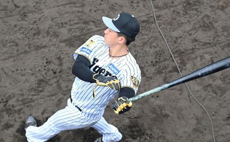 メイングラウンドで素振りする立石（撮影・飯室逸平）