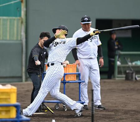 屋外で打撃練習する立石（撮影・飯室逸平）