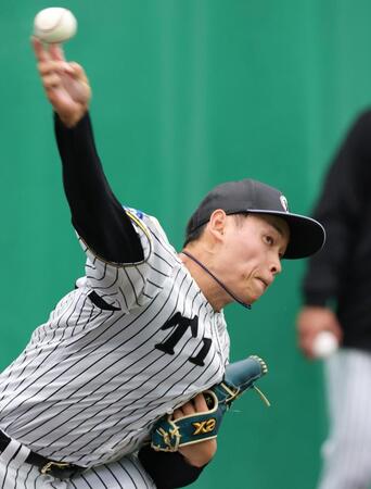 元名捕手の視点　阪神２年目の早川は楽しみな存在　勉強して改善していければ十分に先発ローテ