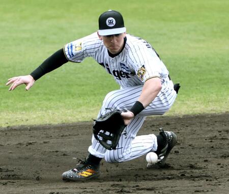 シート打撃で百崎の打球を捕るディベイニー（撮影・田中太一）