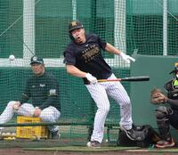 打撃練習で投球を右足に受ける佐藤輝（撮影・山口登）