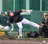 打撃練習で投球を右足に受ける佐藤輝（撮影・山口登）