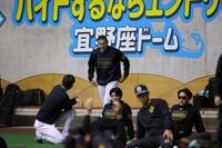 球場入りしてあいさつする能登（撮影・立川洋一郎）