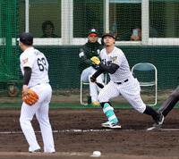 　シート打撃で中飛に倒れる佐藤輝（撮影・山口登）