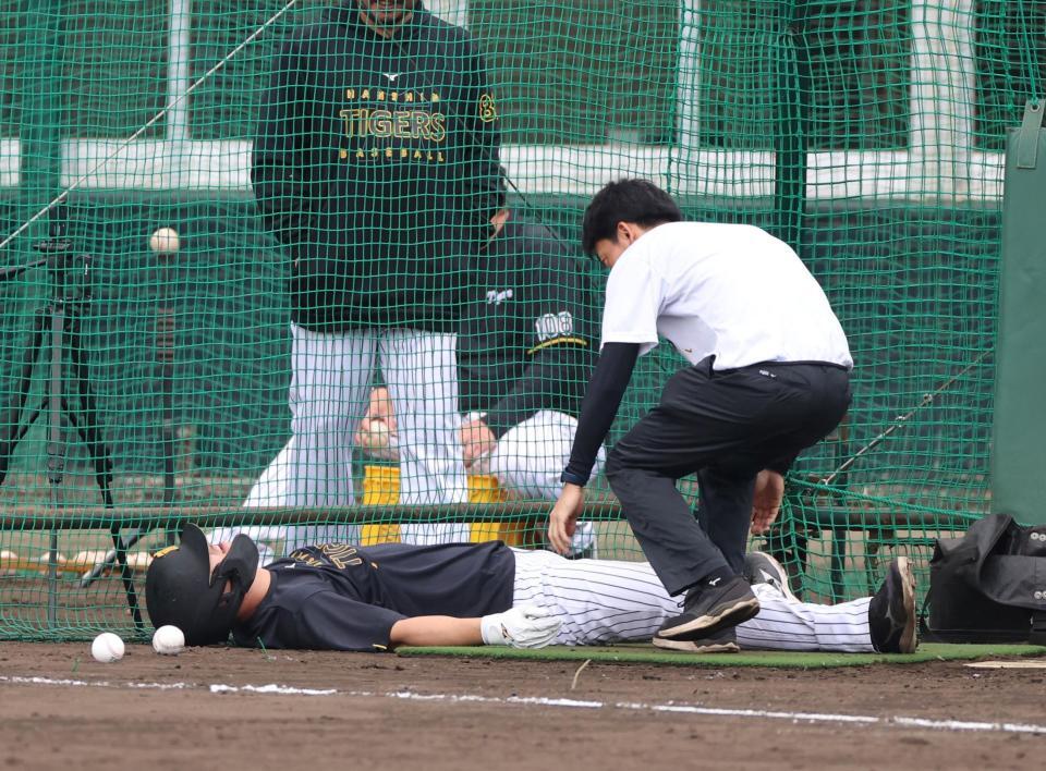 打撃練習で投球を右足に受けグラウンドに倒れ込む佐藤輝（撮影・山口登）
