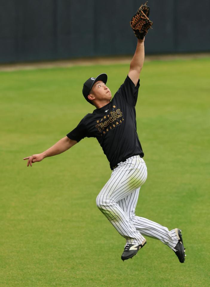 特守で打球に飛びつく中川（撮影・山口登）