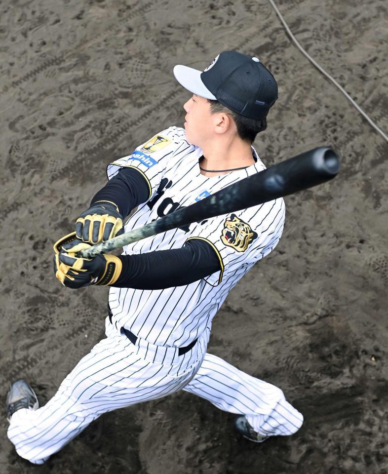 　メイングラウンドで素振りする立石（撮影・飯室逸平）