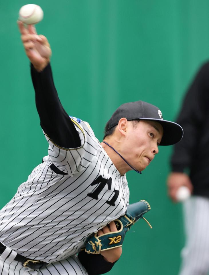 ブルペンで投げ込む早川（撮影・立川洋一郎）