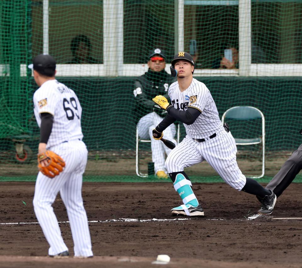 　シート打撃で中飛に倒れる佐藤輝（撮影・山口登）