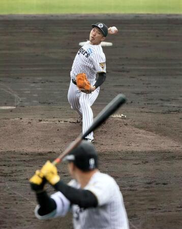 　シート打撃で登板し、佐藤輝と対決する石井（撮影・田中太一）