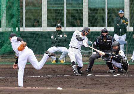　シート打撃で一塁ゴロに倒れる島田（撮影・山口登）