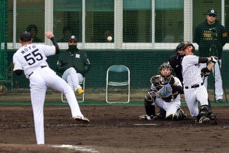 　シート打撃で井坪を投ゴロに打ち取る能登（撮影・山口登）