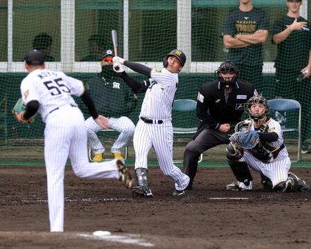 　シート打撃で元山を右飛に打ち取る能登（撮影・山口登）