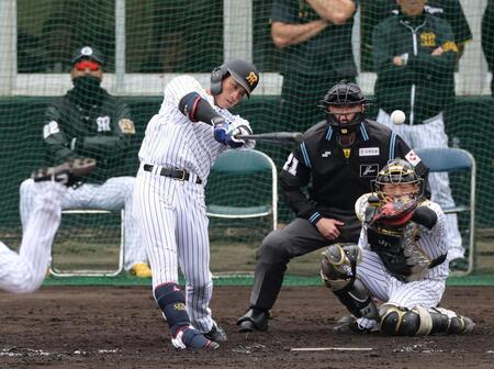 　左前打を放つ木浪（撮影・山口登）