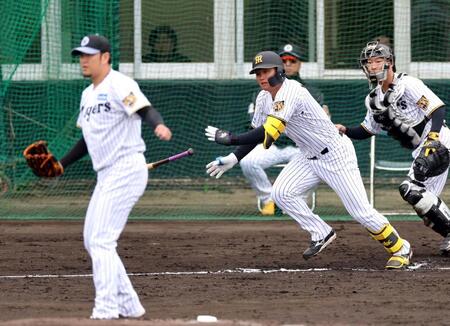 シート打撃で右前打を放つ森下（投手　岩貞、捕手　藤田）＝撮影・山口登