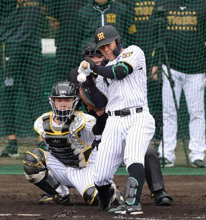 死球を受ける豊田（捕手・嶋村）＝撮影・山口登