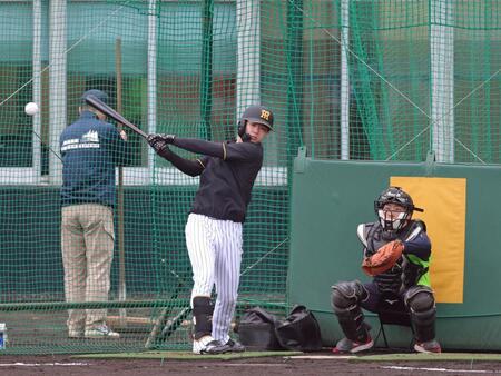 フリー打撃で快音を響かせる中野（撮影・立川洋一郎）