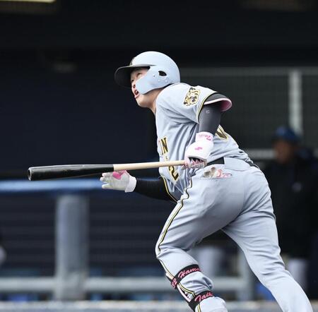 ４回、ソロを放った浜田（撮影・田中太一）