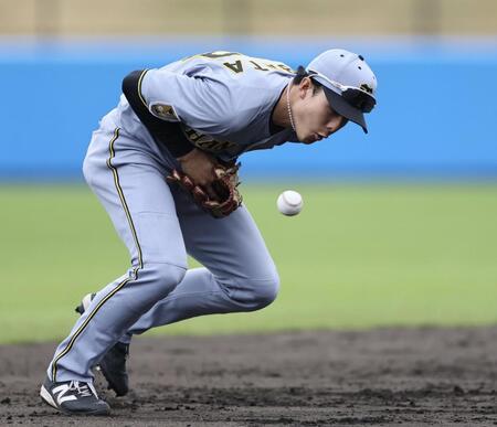 ６回、野村の打球をはじく小幡（撮影・田中太一）