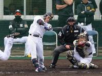 　左前打を放つ木浪（撮影・山口登）